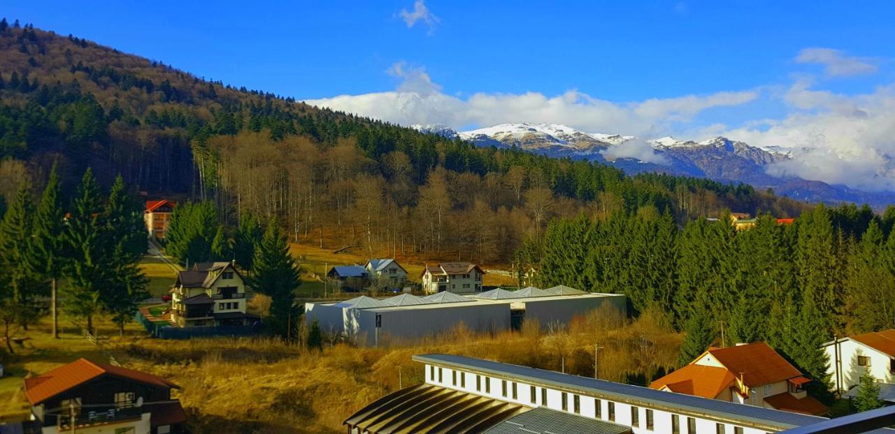 Vintage Home Sinaia Exteriör bild